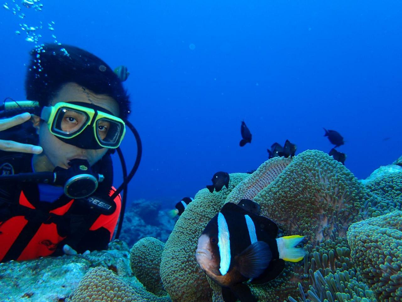 Qing Feng Diving B&B Грин-Айленд Экстерьер фото